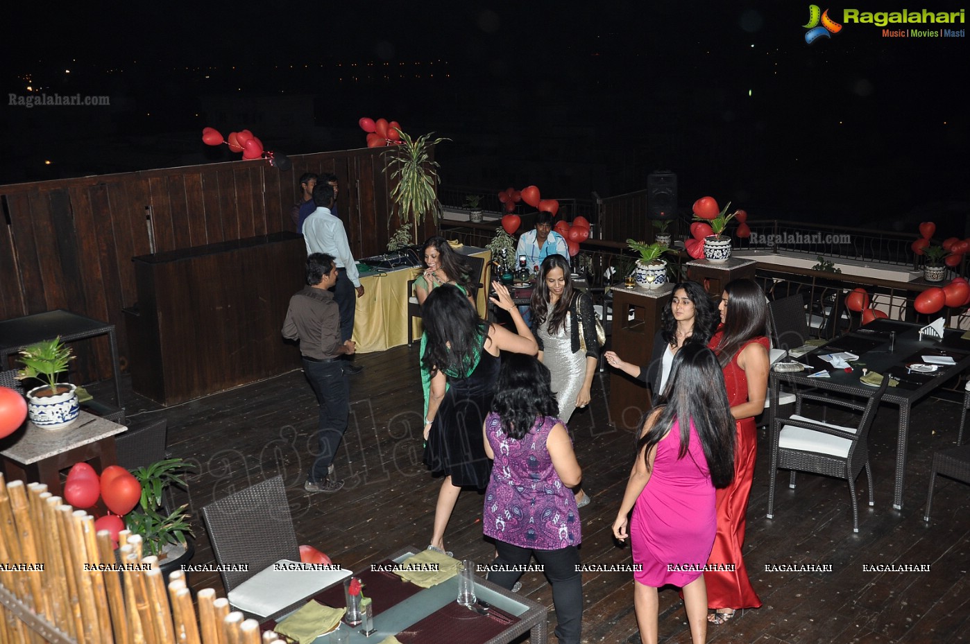 Club Se La Vie's 2013 Pre-Valentine's Bash, Hyderabad