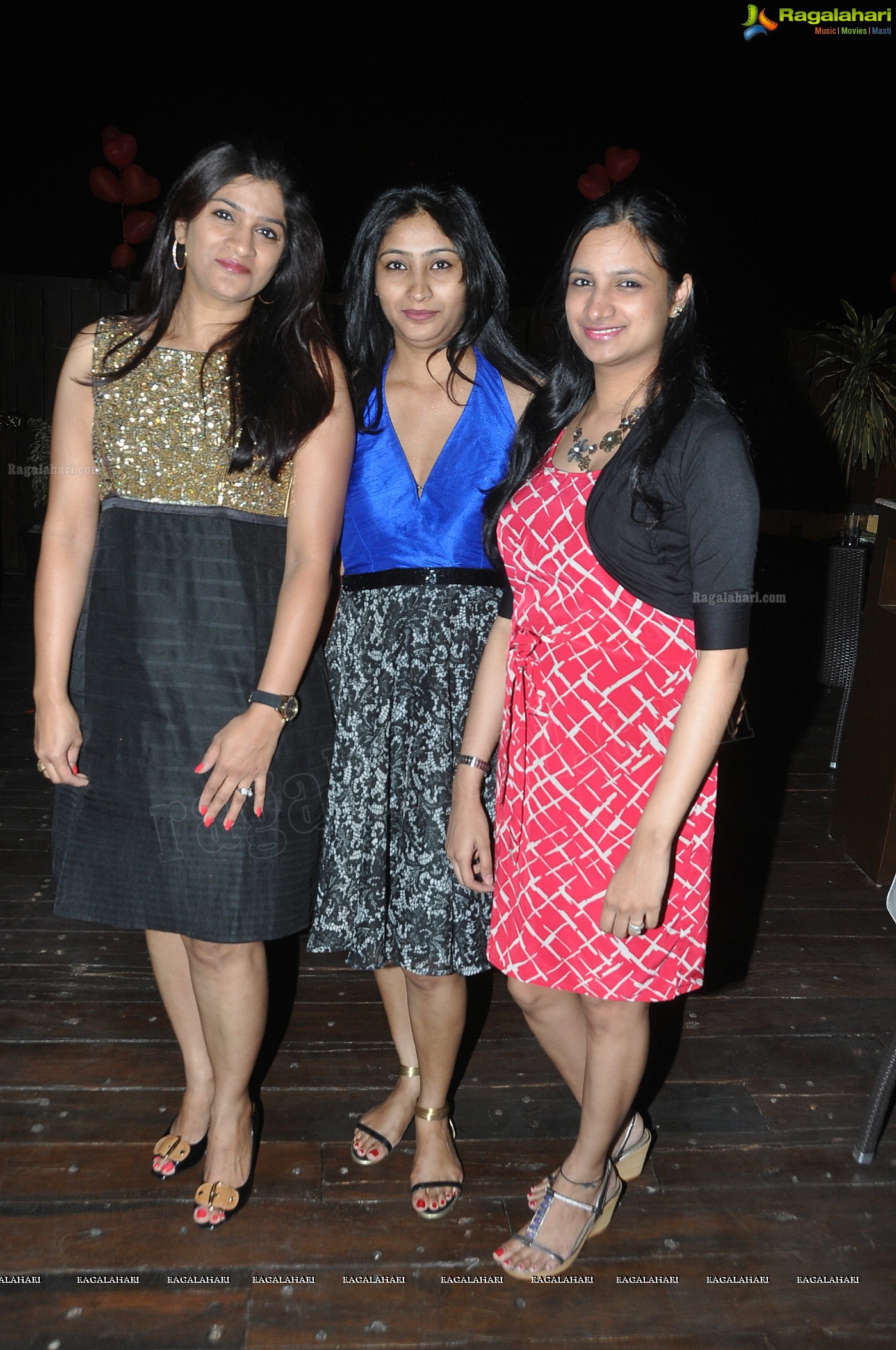 Club Se La Vie's 2013 Pre-Valentine's Bash, Hyderabad