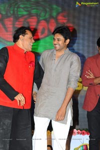 Basanti Audio Release