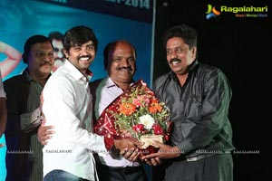 Bheemavaram Bullodu Platinum Disc