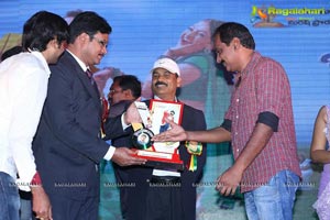 Bheemavaram Bullodu Platinum Disc