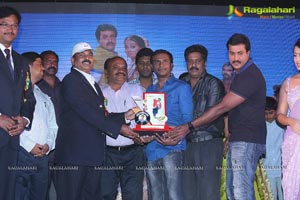 Bheemavaram Bullodu Platinum Disc