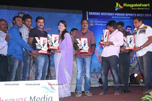 Bheemavaram Bullodu Platinum Disc