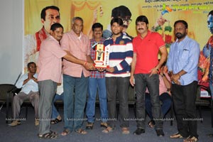 Malligadu Marriage Bureau Platinum Disc