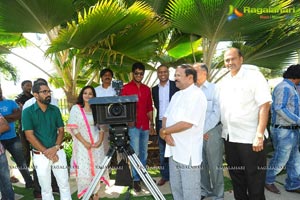 Sharwanand-Nithya Menon Film