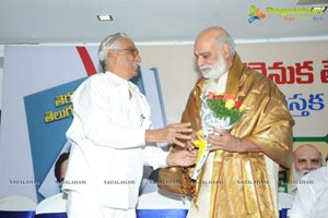 Teravenuka Telugu Cinema