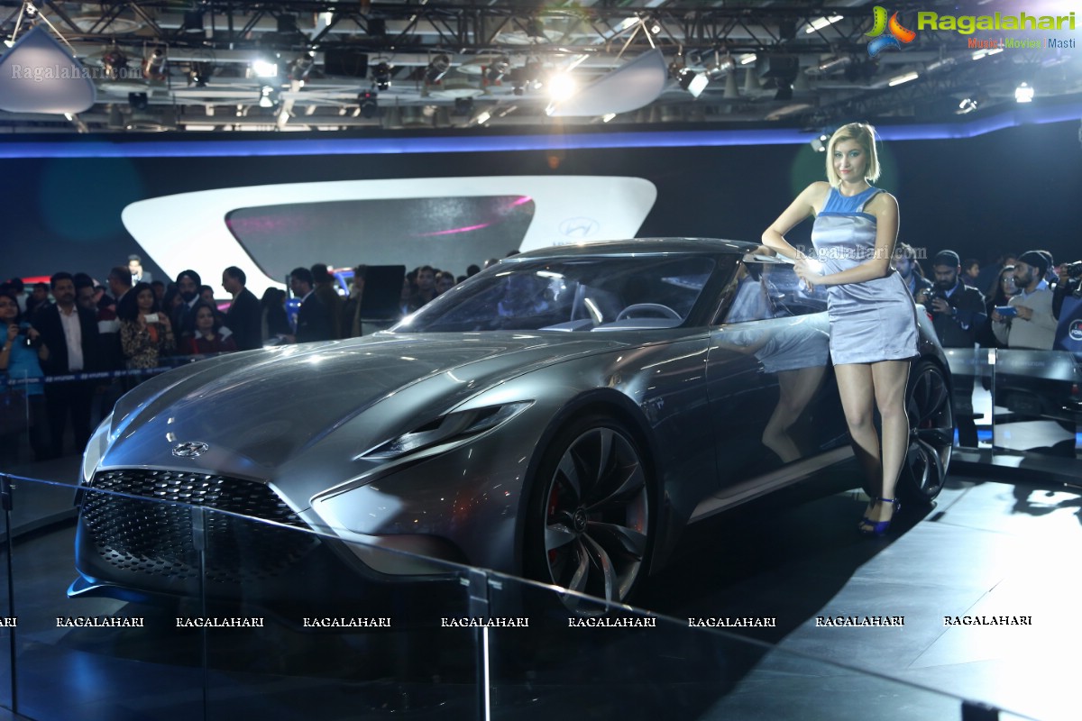 New Delhi Auto Expo 2014