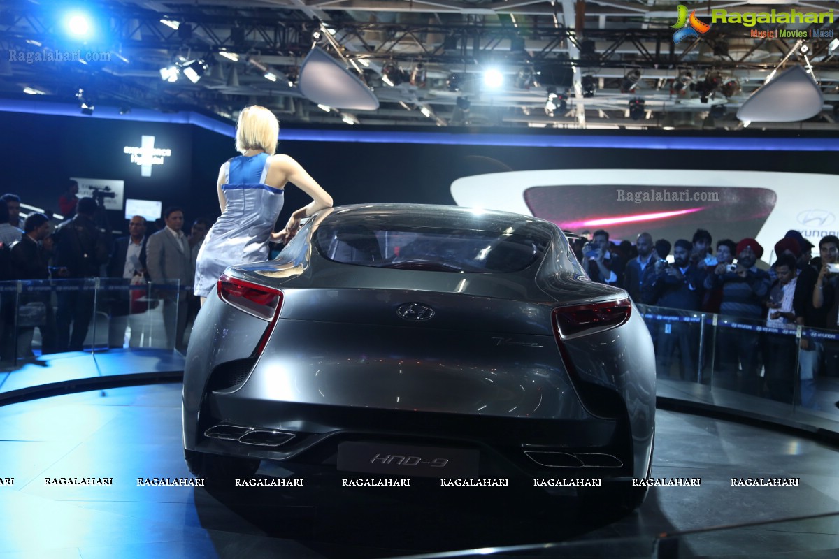 New Delhi Auto Expo 2014