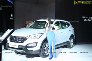 New Delhi Auto Expo 2014