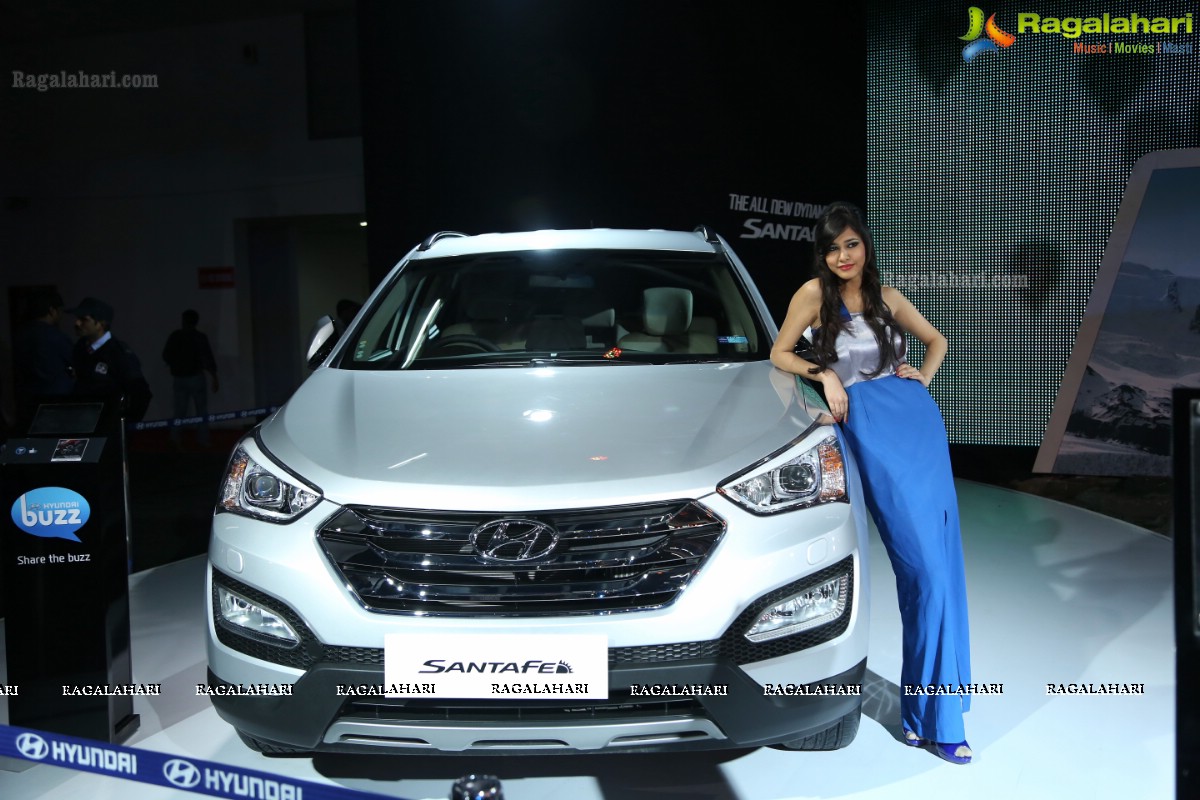 New Delhi Auto Expo 2014