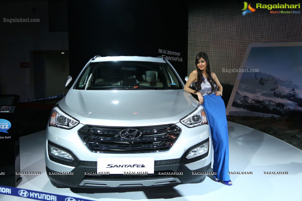 New Delhi Auto Expo 2014