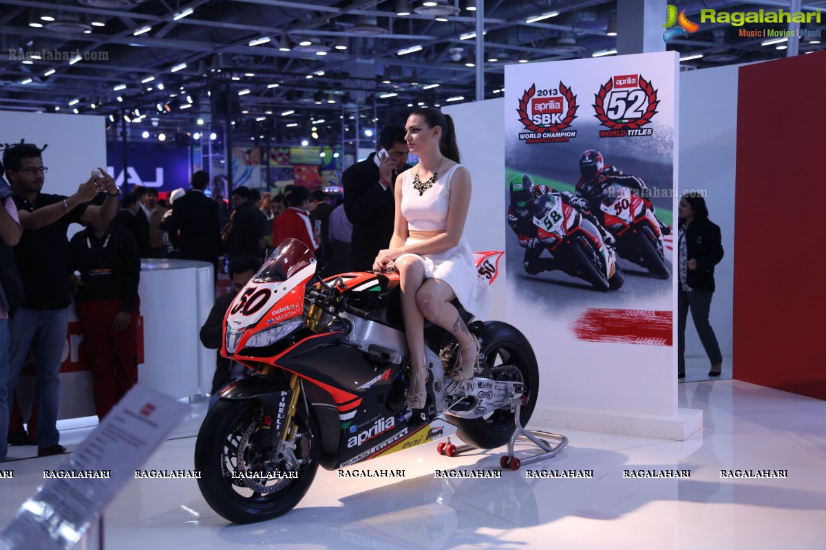 New Delhi Auto Expo 2014