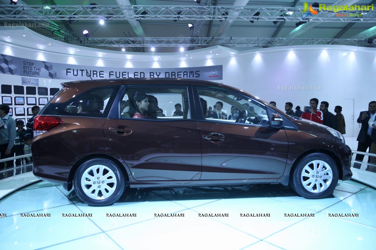 New Delhi Auto Expo 2014