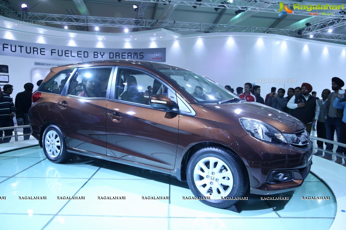 New Delhi Auto Expo 2014