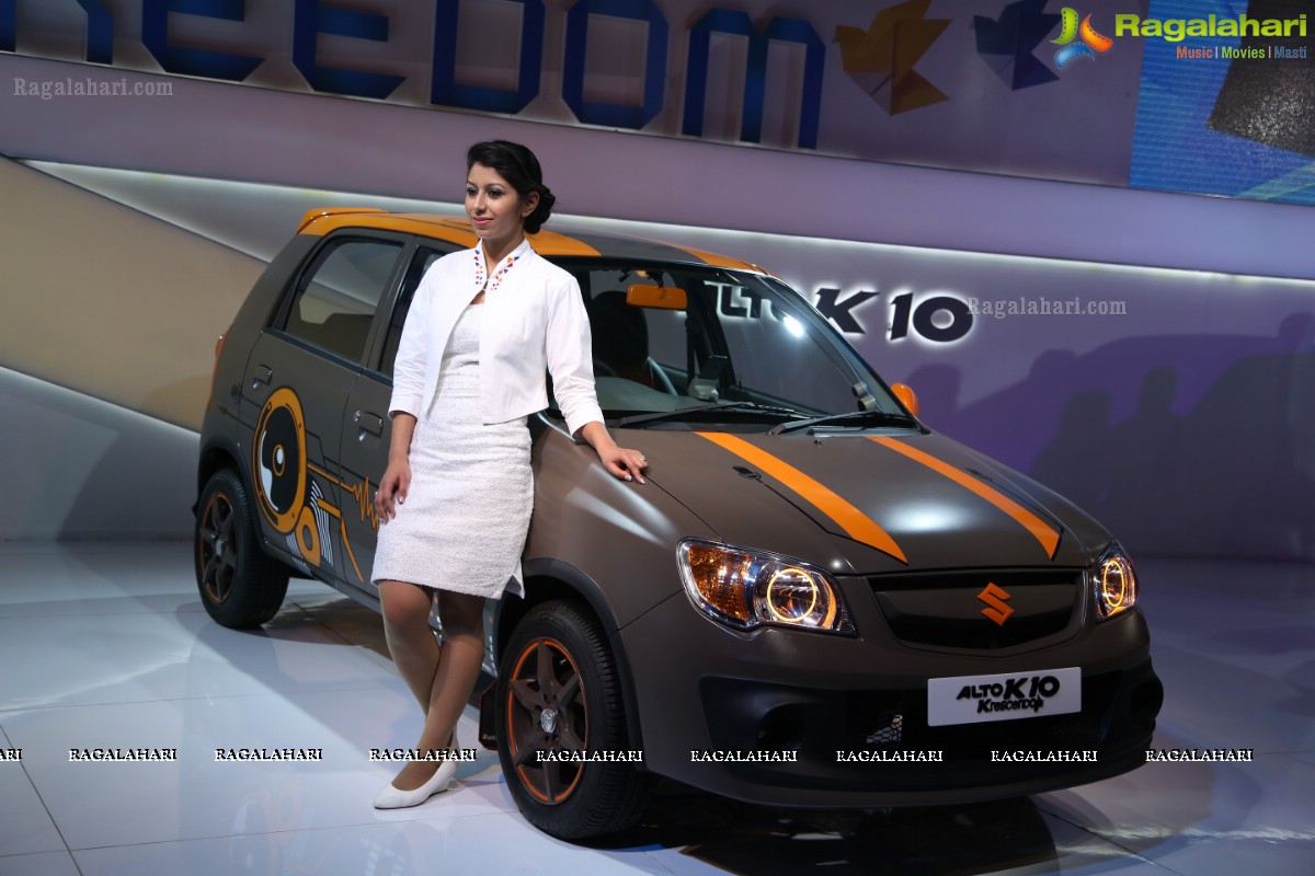 New Delhi Auto Expo 2014