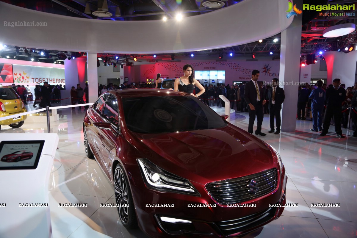 New Delhi Auto Expo 2014