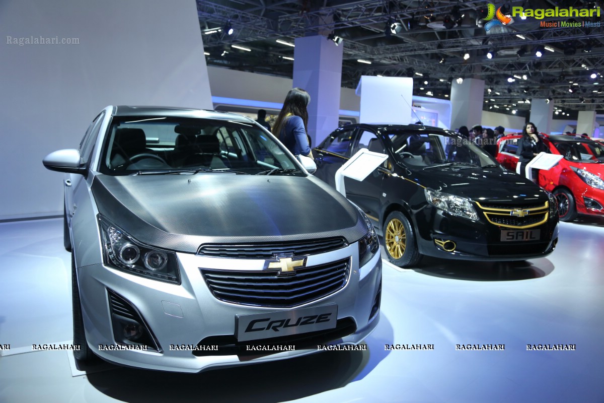 New Delhi Auto Expo 2014