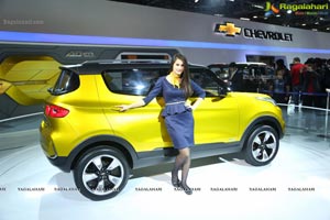 New Delhi Auto Expo 2014