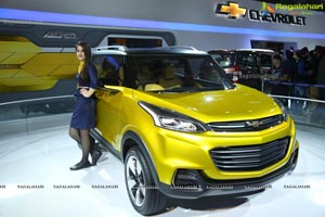 New Delhi Auto Expo 2014