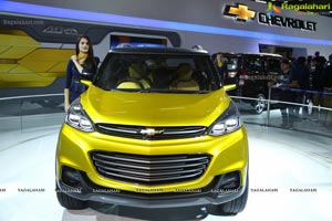 New Delhi Auto Expo 2014