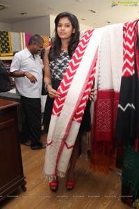 IKAT Art Mela