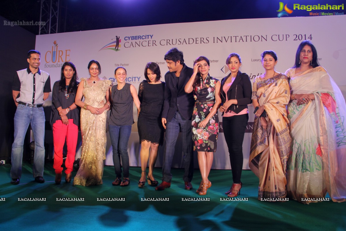 Cancer Crusaders Invitation Cup Celebrity Playoff 2014