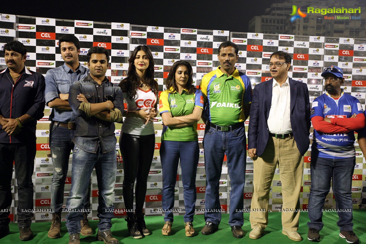 CCL4 Karnataka Bulldozers vs Kerala Strikers Finals