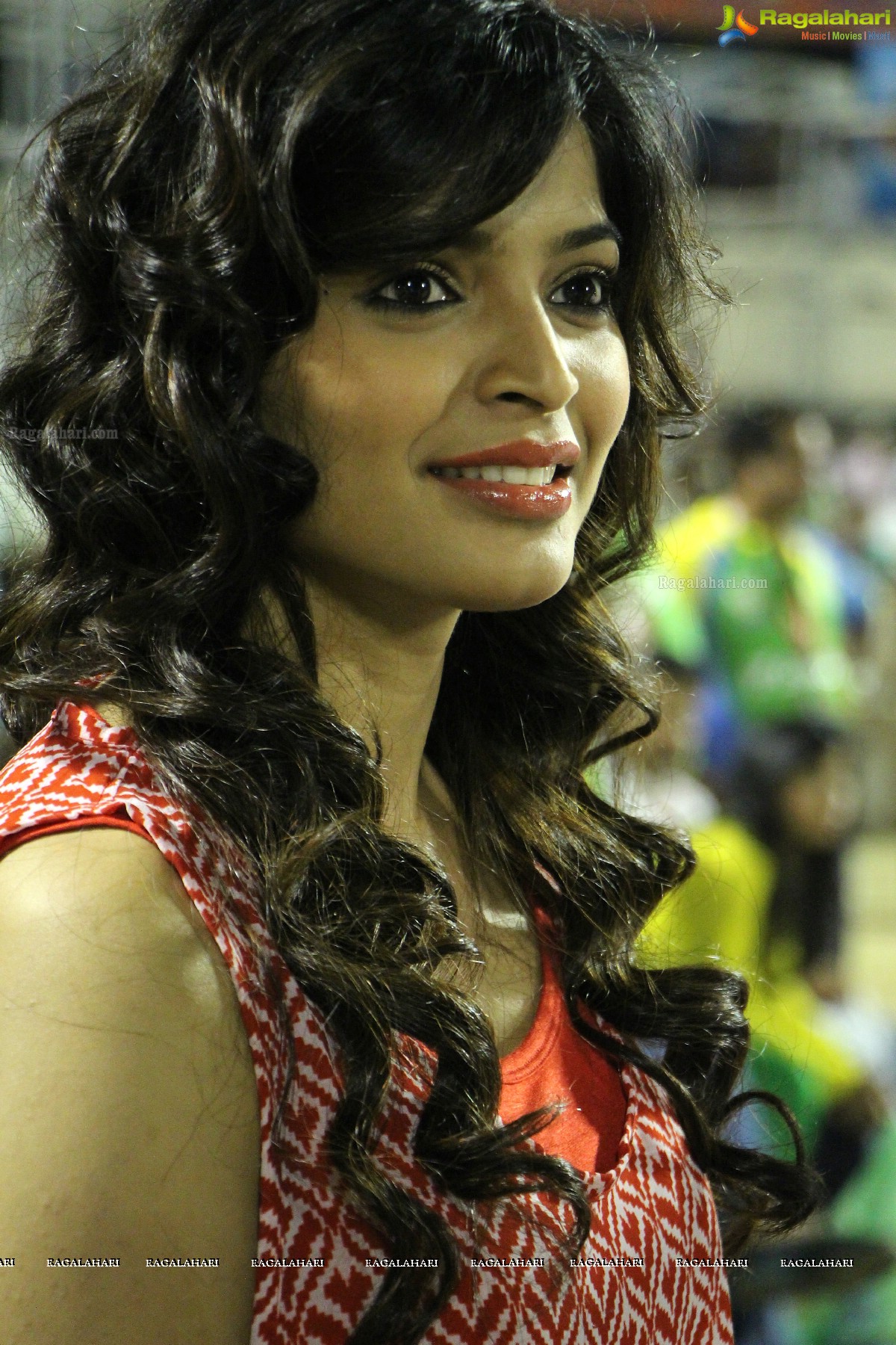 Celebrity Cricket League Finals Exclusive