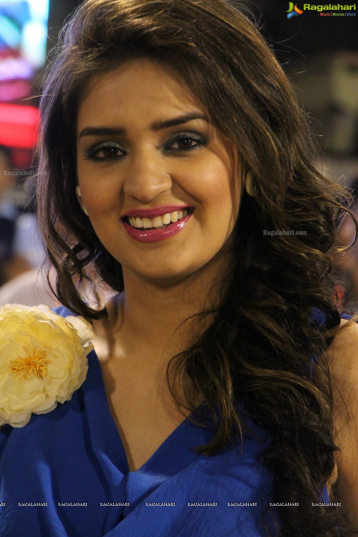 CCL4 Karnataka Bulldozers vs Mumbai Heros Semifinal Exclusive Photos