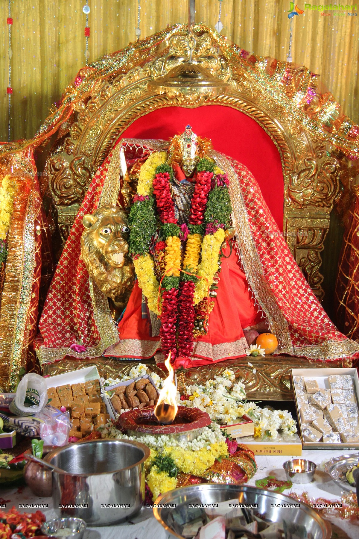 Youngsters Mata Rani Jagaran (Feb. 2014), Hyderabad