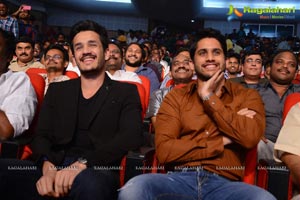 Akhil Akkineni-Sayesha Saigal