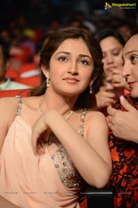 Akhil Akkineni-Sayesha Saigal