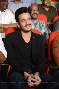 Akhil Akkineni-Sayesha Saigal