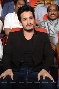 Akhil Akkineni-Sayesha Saigal