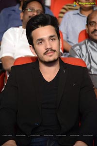 Akhil Akkineni-Sayesha Saigal