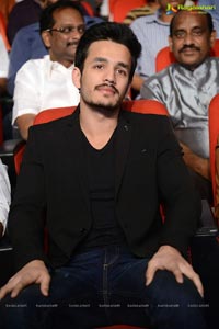 Akhil Akkineni-Sayesha Saigal