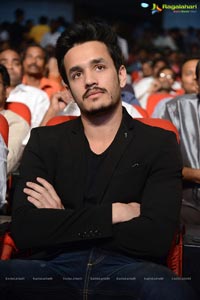 Akhil Akkineni-Sayesha Saigal