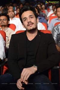 Akhil Akkineni-Sayesha Saigal