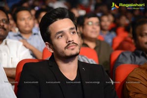 Akhil Akkineni-Sayesha Saigal