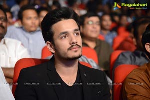 Akhil Akkineni-Sayesha Saigal