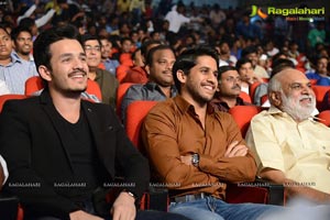 Akhil Akkineni-Sayesha Saigal