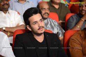 Akhil Akkineni-Sayesha Saigal