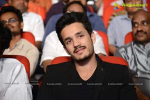 Akhil Akkineni-Sayesha Saigal