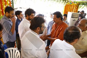 Ramanaidu Last Rites Photos