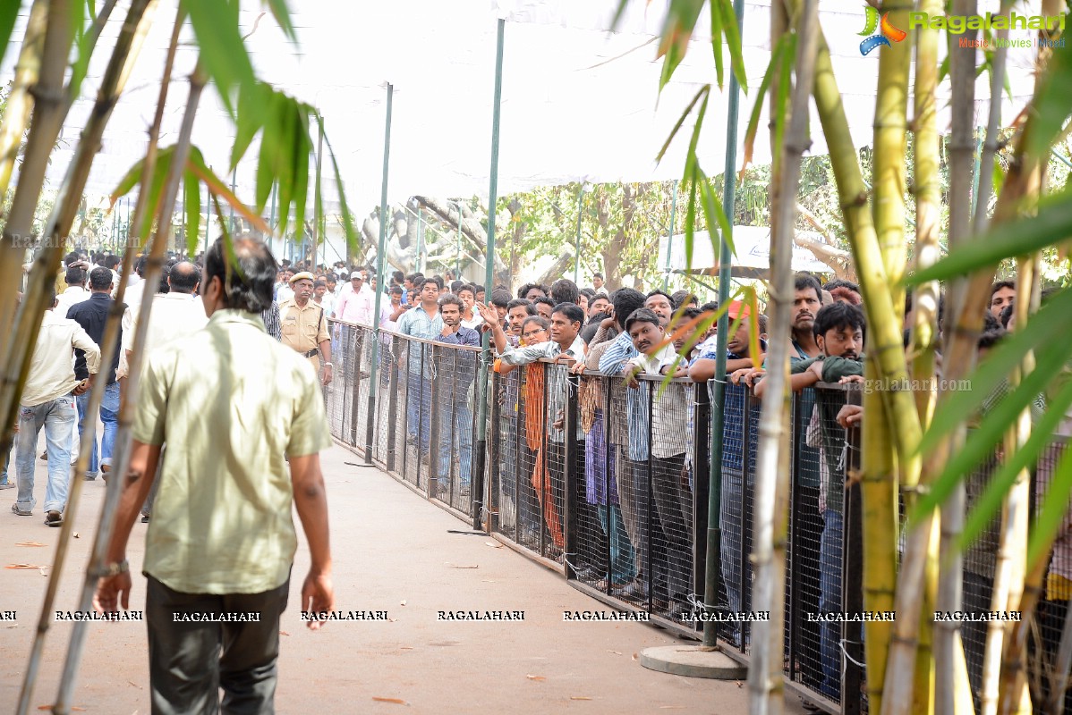 Last Rites of Dr. D. Ramanaidu