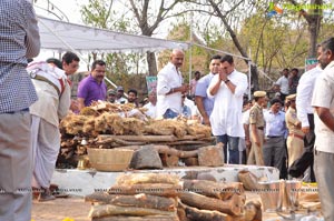 Ramanaidu Last Rites Photos