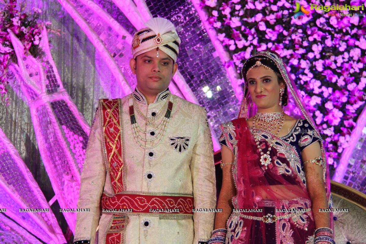 Wedding Reception of Aditya Chandak-Priyanka Navander 