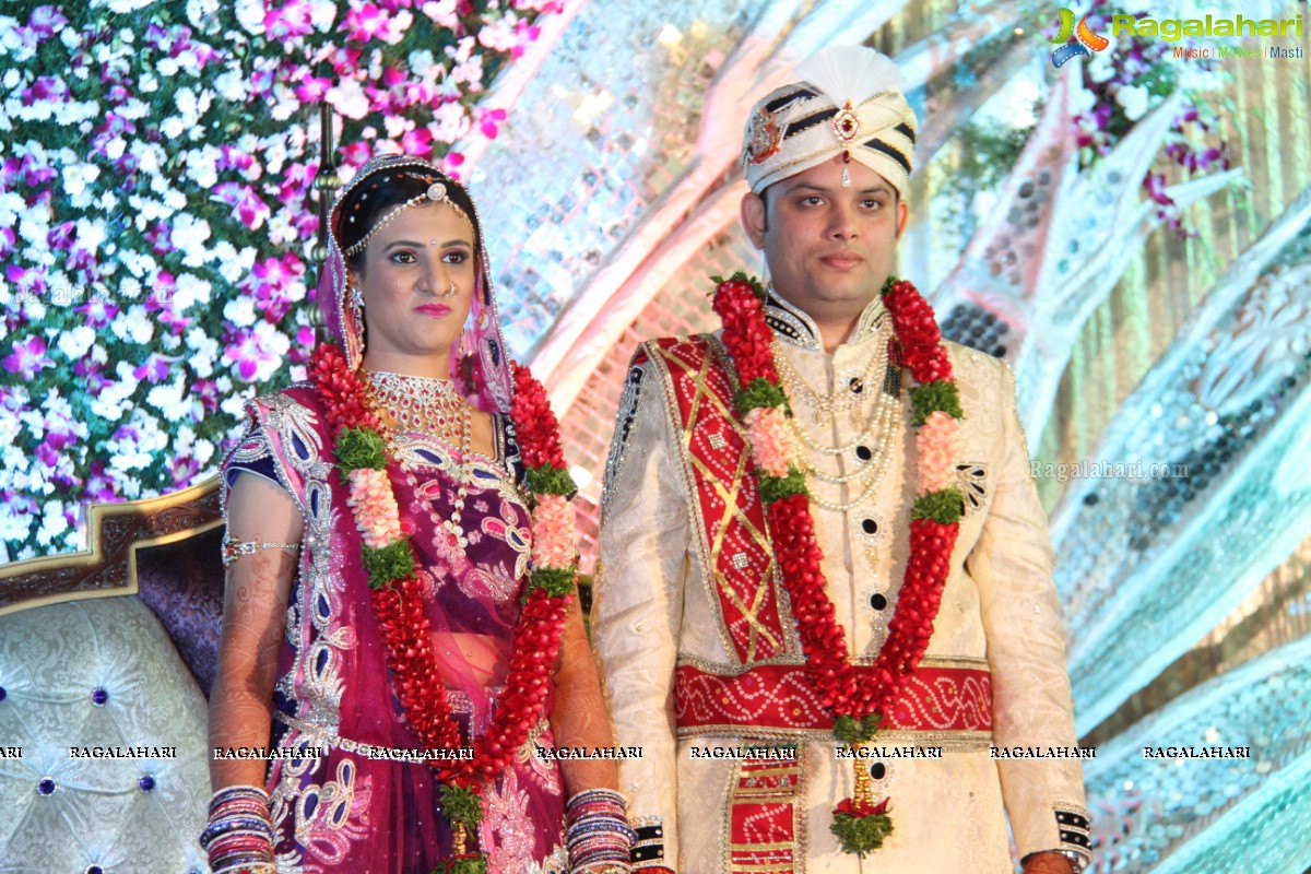 Wedding Reception of Aditya Chandak-Priyanka Navander 