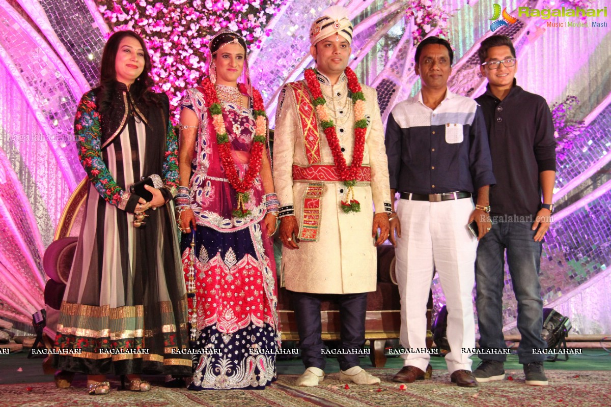 Wedding Reception of Aditya Chandak-Priyanka Navander 