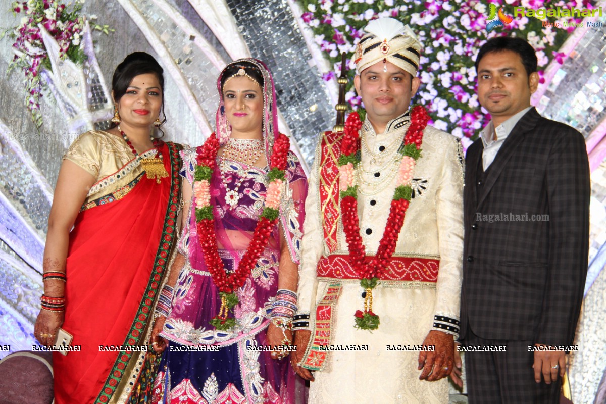 Wedding Reception of Aditya Chandak-Priyanka Navander 